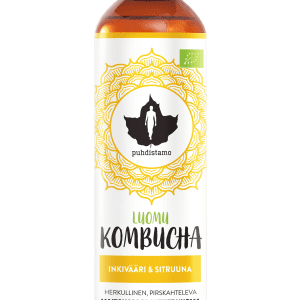 Organic Kombucha Lemon & Ginger of Puhdistamo