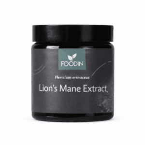 Pruikzwam Lion’s Mane Extract