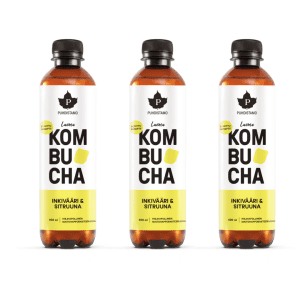 Biologische Kombucha Citroen & Gember 3pack ( 3 flessen )