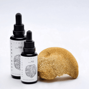 Biologische Lion's Mane Mushroom Tincture - Hericium Erinaceus Extract