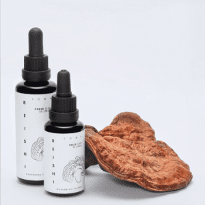 Reishi mushroom tincture - Ganoderma lucidum extract van Kääpä Health Biotech