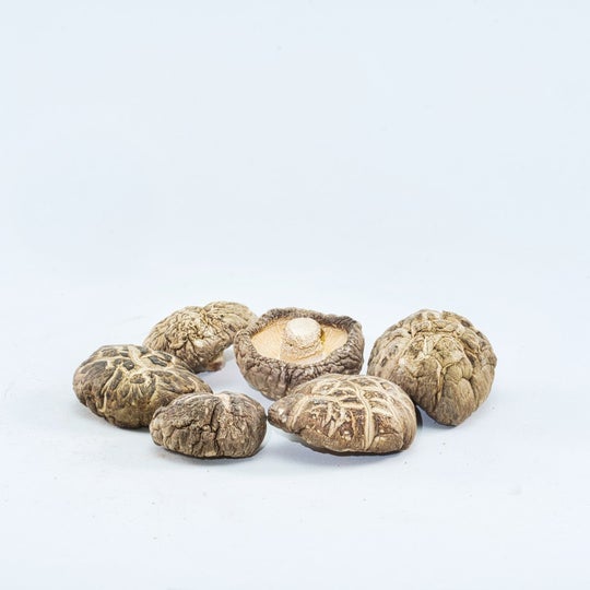 Shiitake mushroom tincture - Lentinula edodes extract